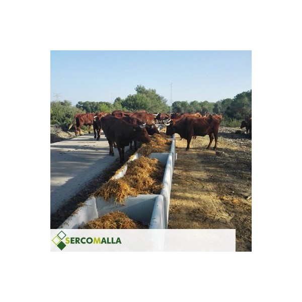 Comedero Vacuno Largo de Hormigón