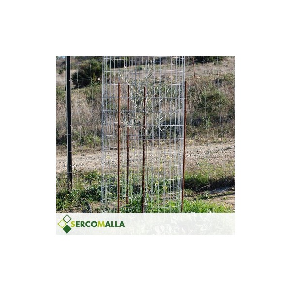 Mallazo de Reforestación